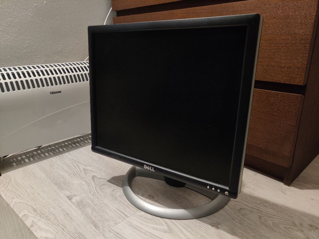 Dell 1901FP monitor