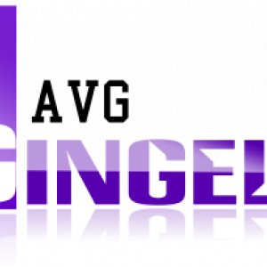 AVG Gingelom